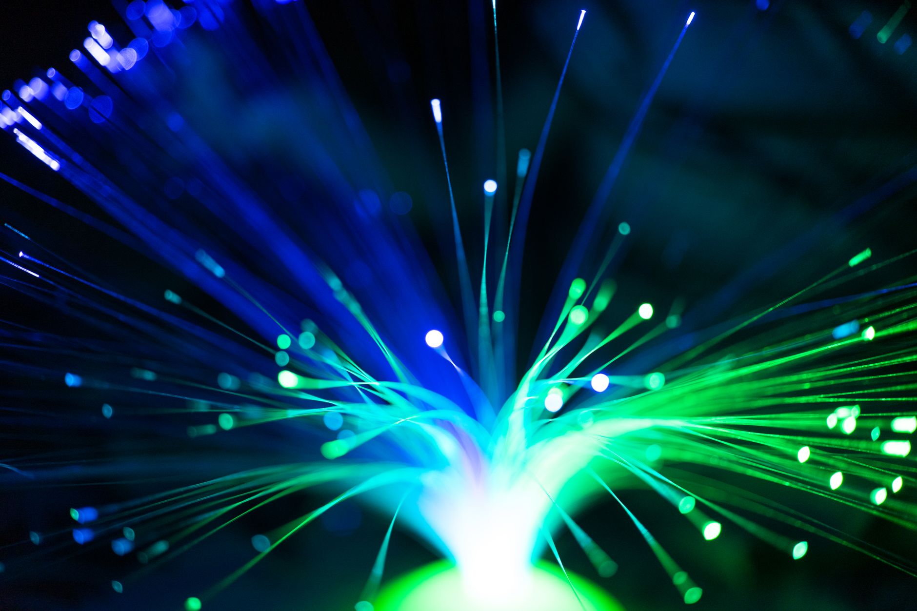 Close-up of illuminated fiber optic lights in blue and green colors, showcasing modern technology. — Photo by Atlantic Ambience on Pexels