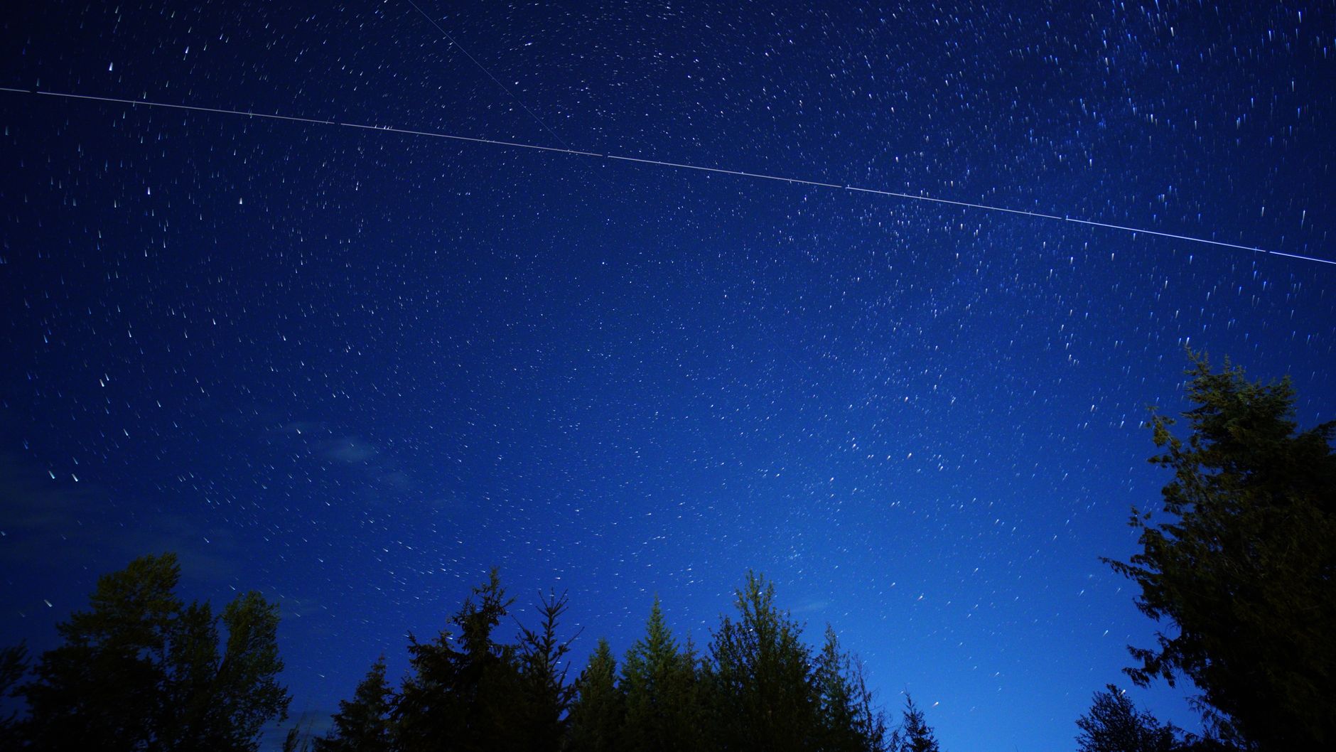 Long exposure of a starry night sky featuring light trails above a silhouette of trees. — Photo by Jason Pittman on Pexels